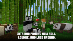 Minecraft screen shot