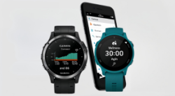 Garmin Connect™ screen shot