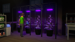 Schedule I screen shot