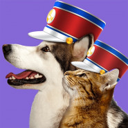 Pet Parade Cutest Dogs vs Cats logo